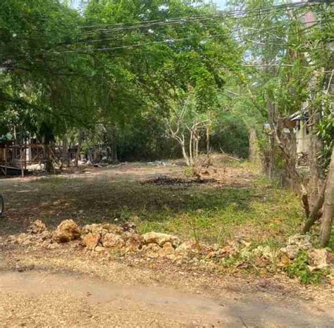 Pangasinan lands. Lots for sale in Pangasinan .
